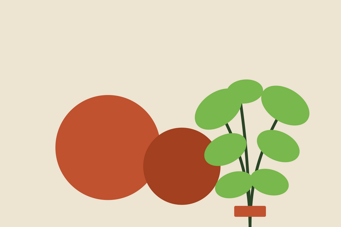 Tomatoes and torn basil